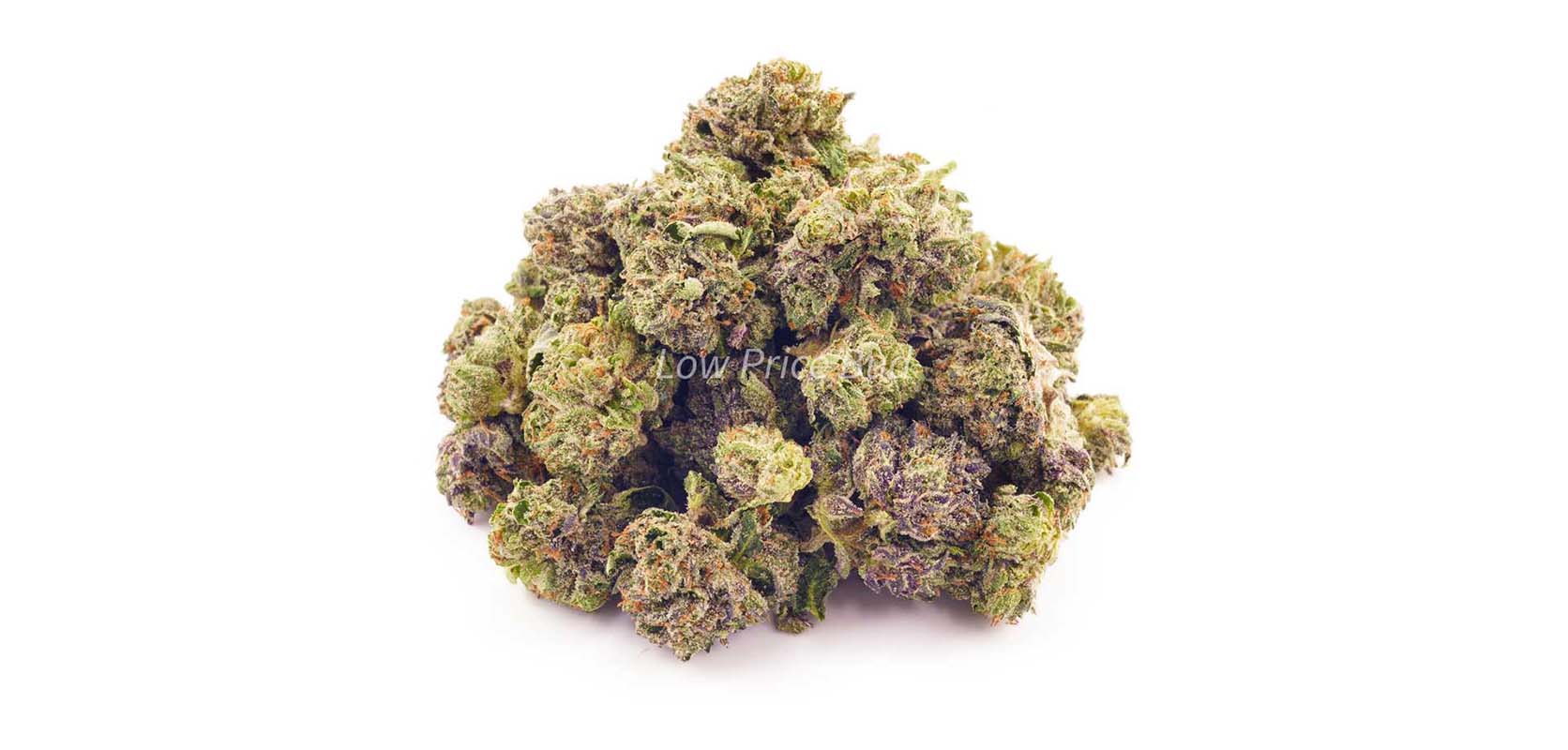 Pink Kush value buds from Low Price Bud weed store and mail order marijuana online dispensary to buy weed online in Canada.