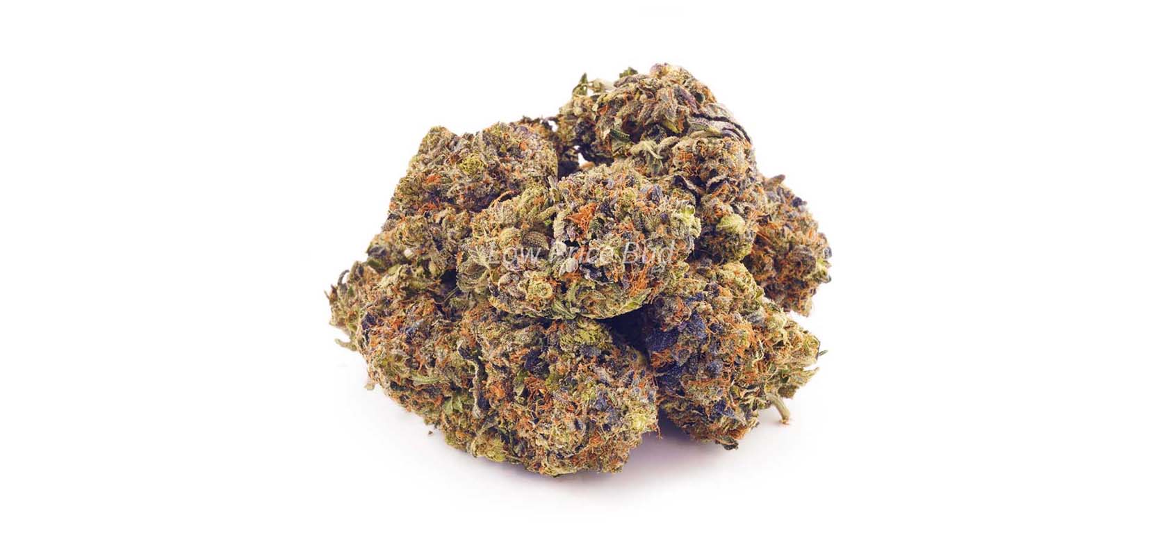 Sour Skunk weed online Canada. Budget bud from Low Price Bud online dispensary and mail order marijuana weed store.