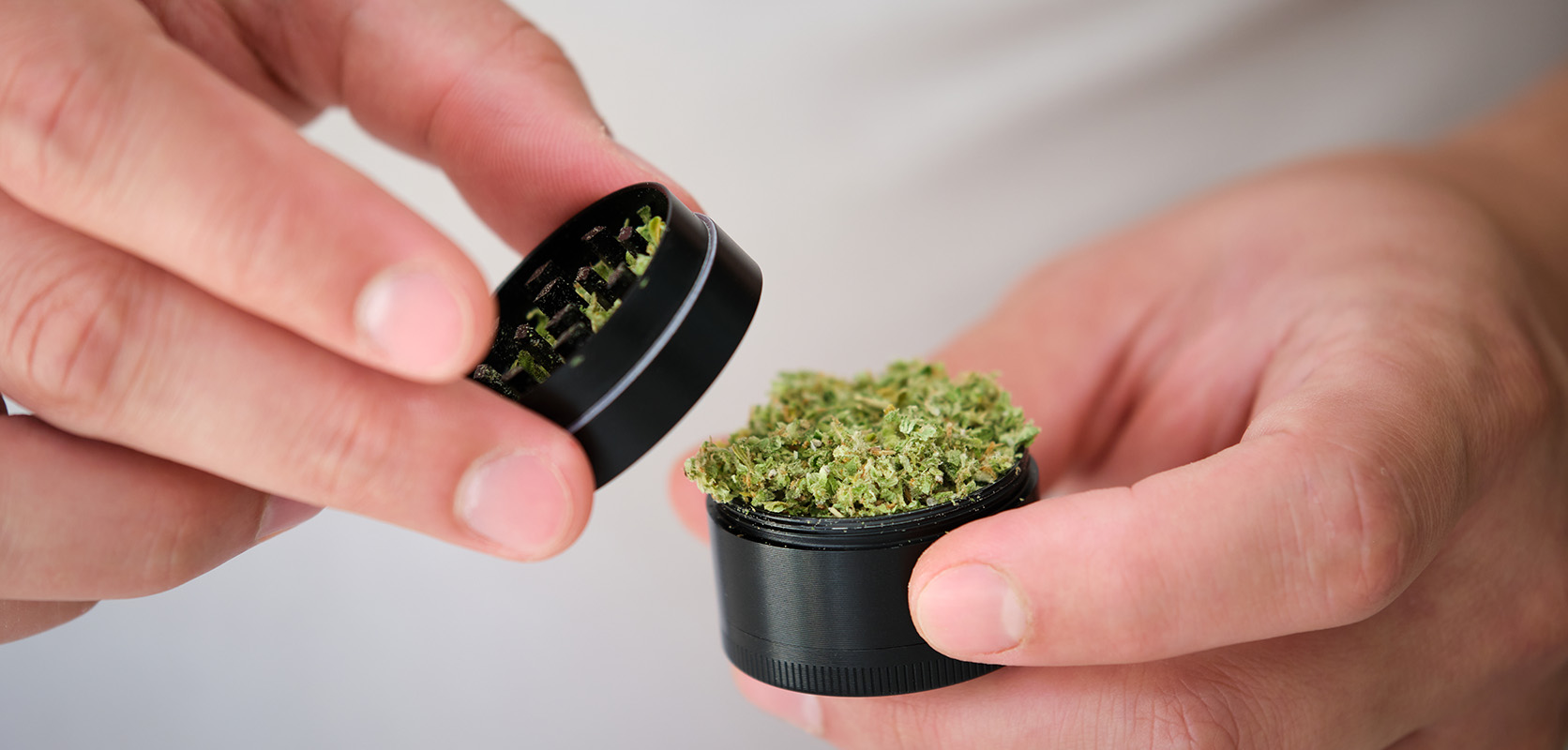 Man using a grinder to break up strong hybrid weed from online dispensary Canada Low Price Bud. Mail order marijuana value buds, shatter, gummys, and concentrates