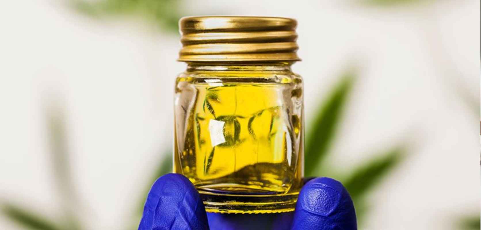 A key difference between distillates and concentrates is in their residual compounds. 