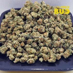 Peanut Butter Breath (AAAA) – Popcorn Nugs Buy Peanut Butter Breath (AAAA) – Popcorn Nugs online Canada