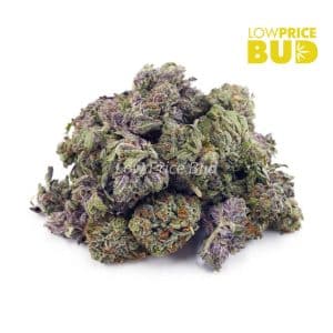 Buy Build Your Own (AAAA) Popcorn Pound 16 x 28g online Canada