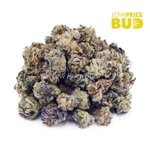 Ice Cream Cookies (AAAA) – Popcorn Nugs Buy Ice Cream Cookies (AAAA) – Popcorn Nugs online Canada