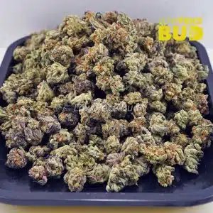 Buy Ice Cream Cookies (AAAA) – Popcorn Nugs online Canada