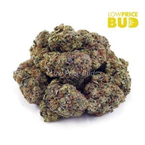 Godfather OG (AAA) Buy Godfather OG (AAA) online Canada