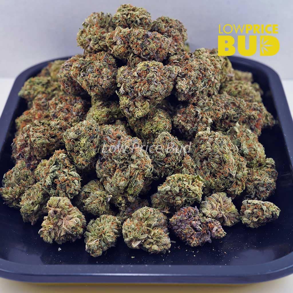 Godfather OG (AAA) Buy Godfather OG (AAA) online Canada