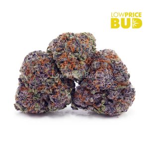 Purple Gelato (AAA) Buy Purple Gelato (AAA) online Canada