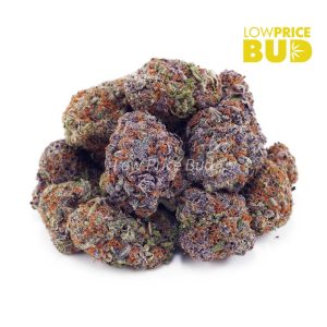 Purple Gelato (AAA) Buy Purple Gelato (AAA) online Canada