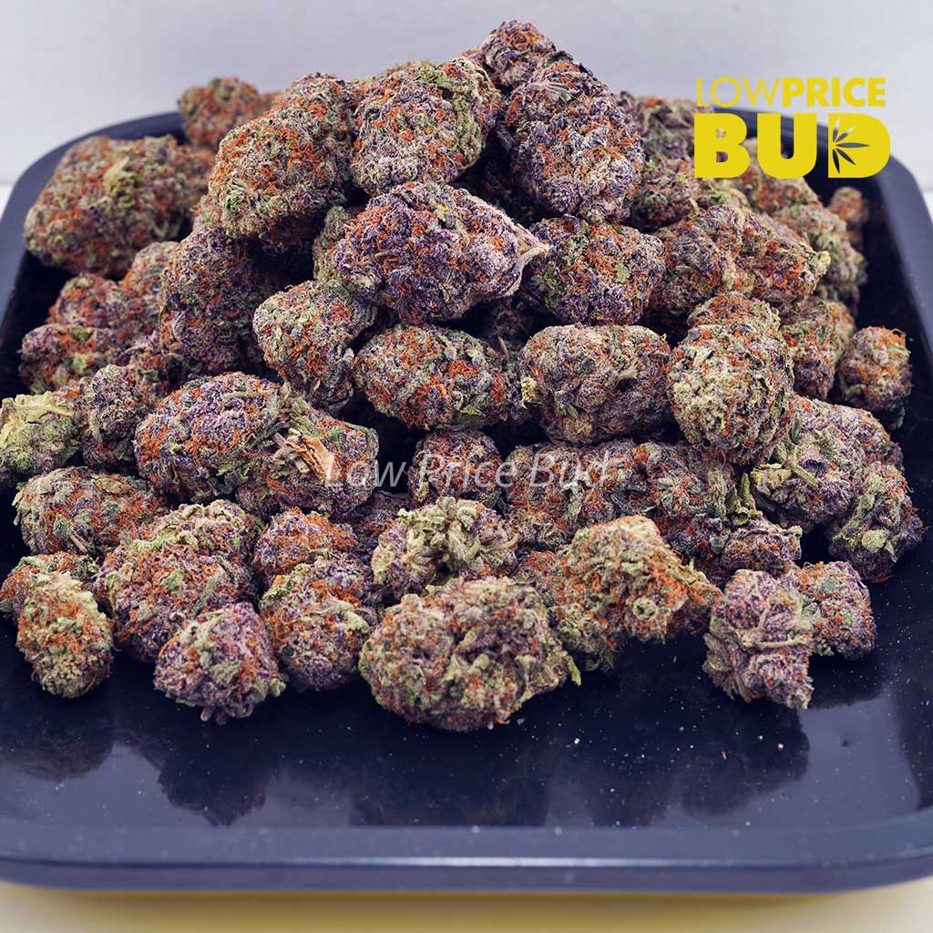 Purple Gelato (AAA) Buy Purple Gelato (AAA) online Canada