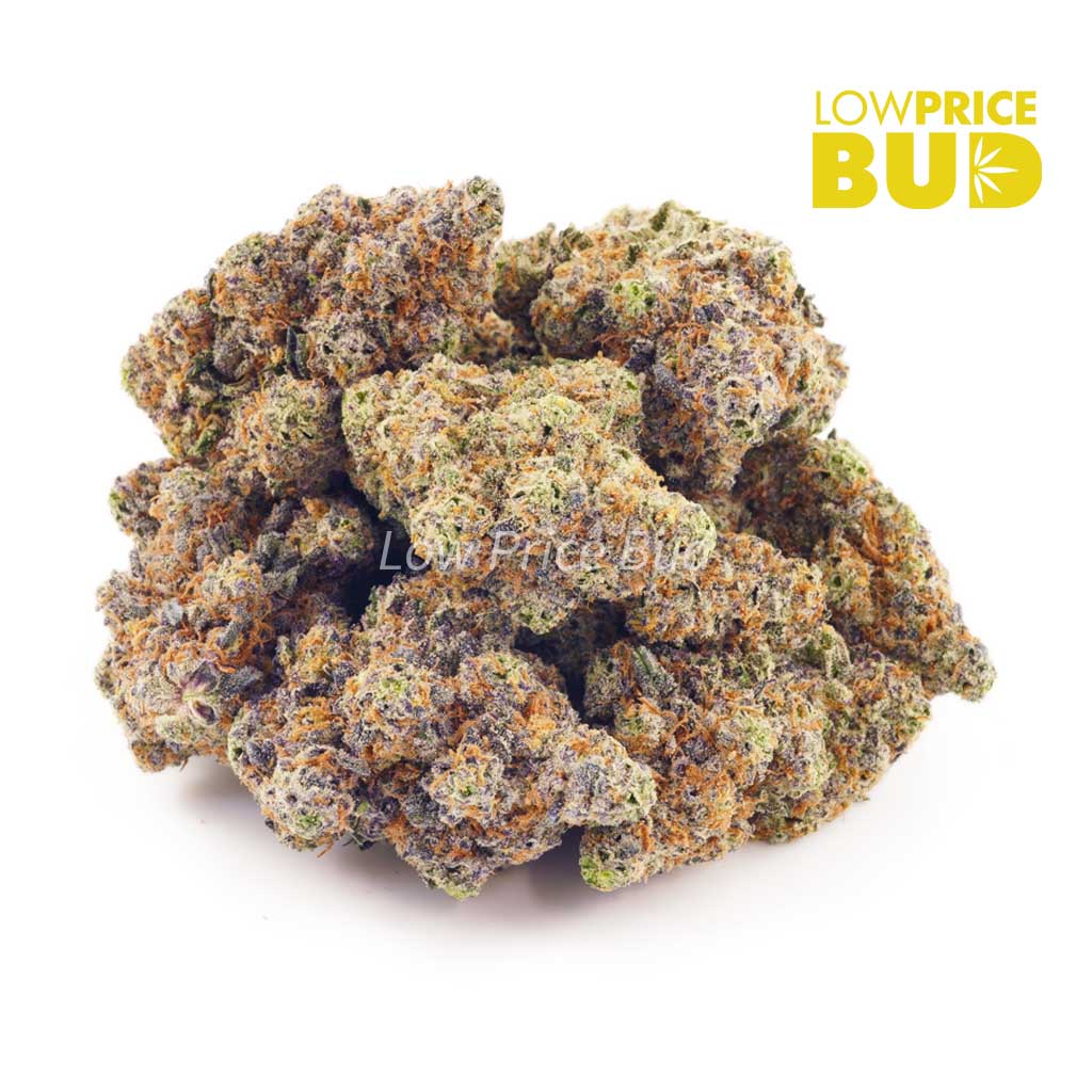 Buy Purple MAC (Craft Cannabis) online Canada