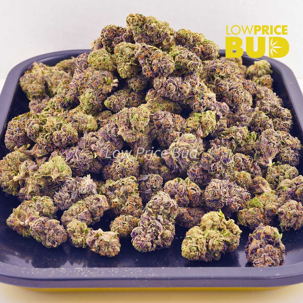 Buy Purple Runtz (AAAA) – Popcorn Nugs online Canada