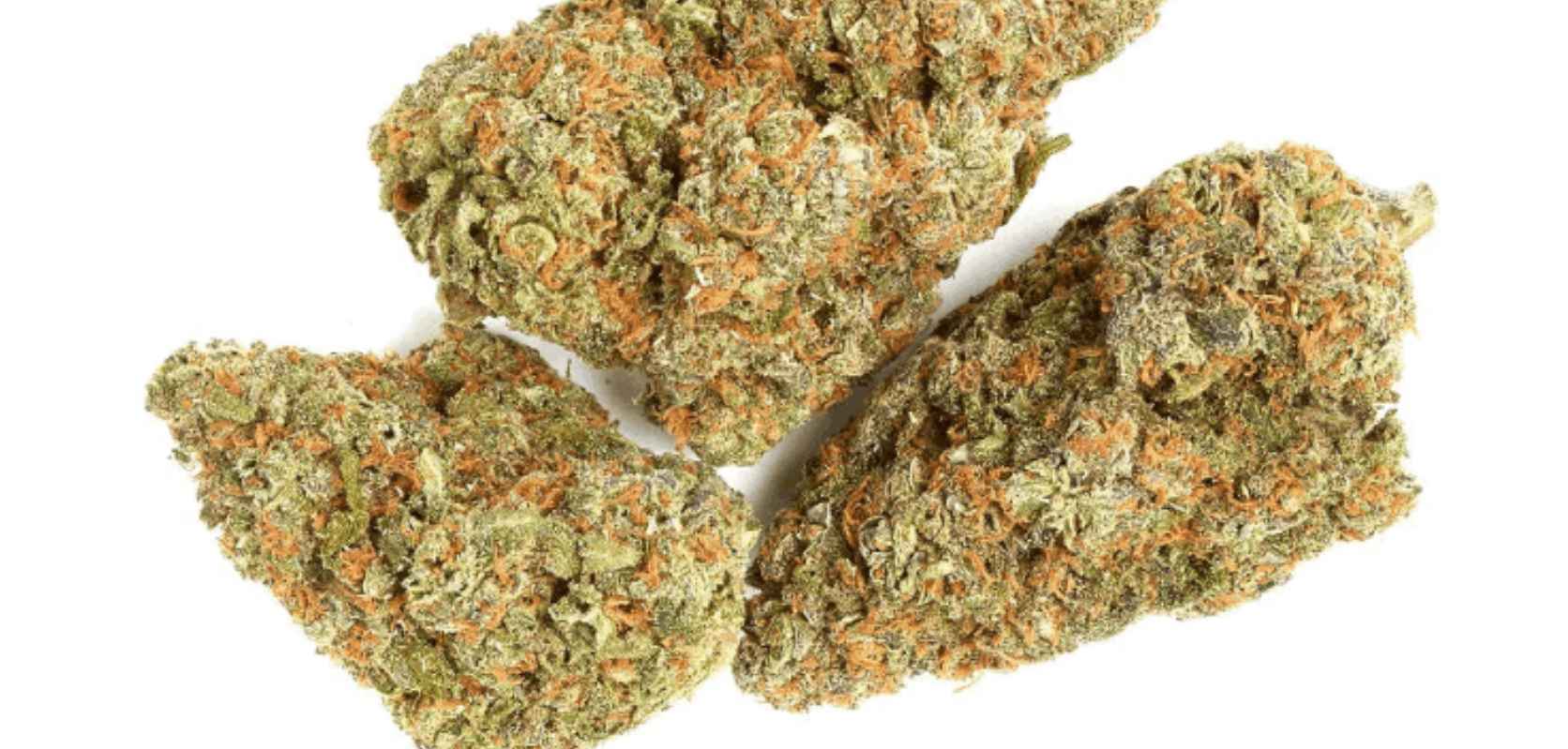 Pineapple Nuken strain is a 50/50 indica to sativa hybrid with an electrifying pineapple and zesty citrus flavour. 