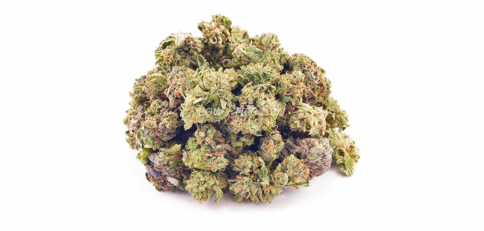Buy this high-quality, AAAA grade Pink Bubba flower for cheap at Canada’s top online dispensary LowPriceBud.