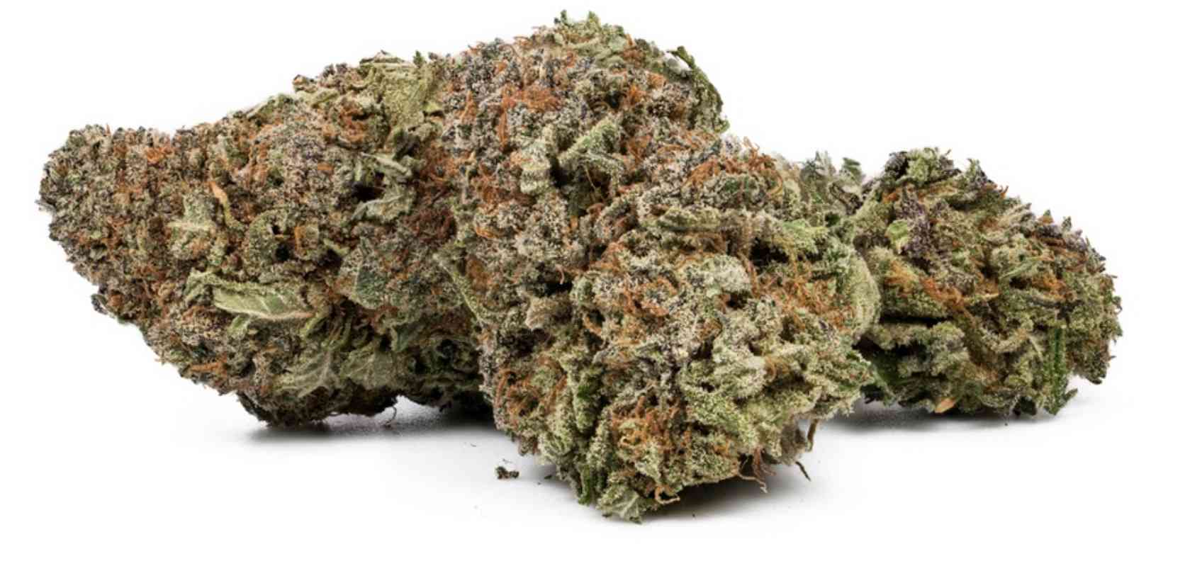 Purple Nuken is a slightly indica-dominant strain with a 60-40 indica to sativa ratio.