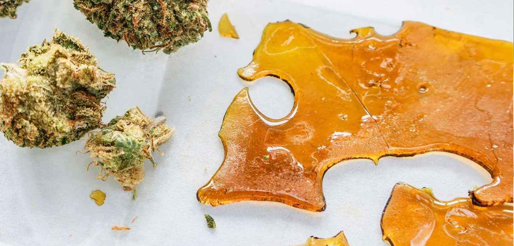 Shatter is a cannabis concentrate noted for its solid, translucent, and glass-like appearance. 