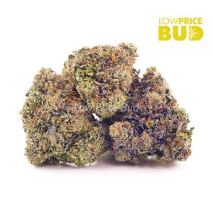 Buy Build Your Own (Craft Cannabis) Half Pound online Canada