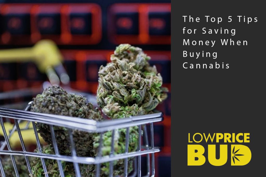buying cannabis