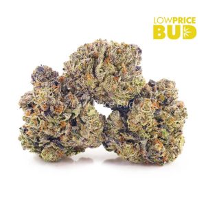 Buy Tom Ford Pink Kush (Craft Cannabis) online Canada