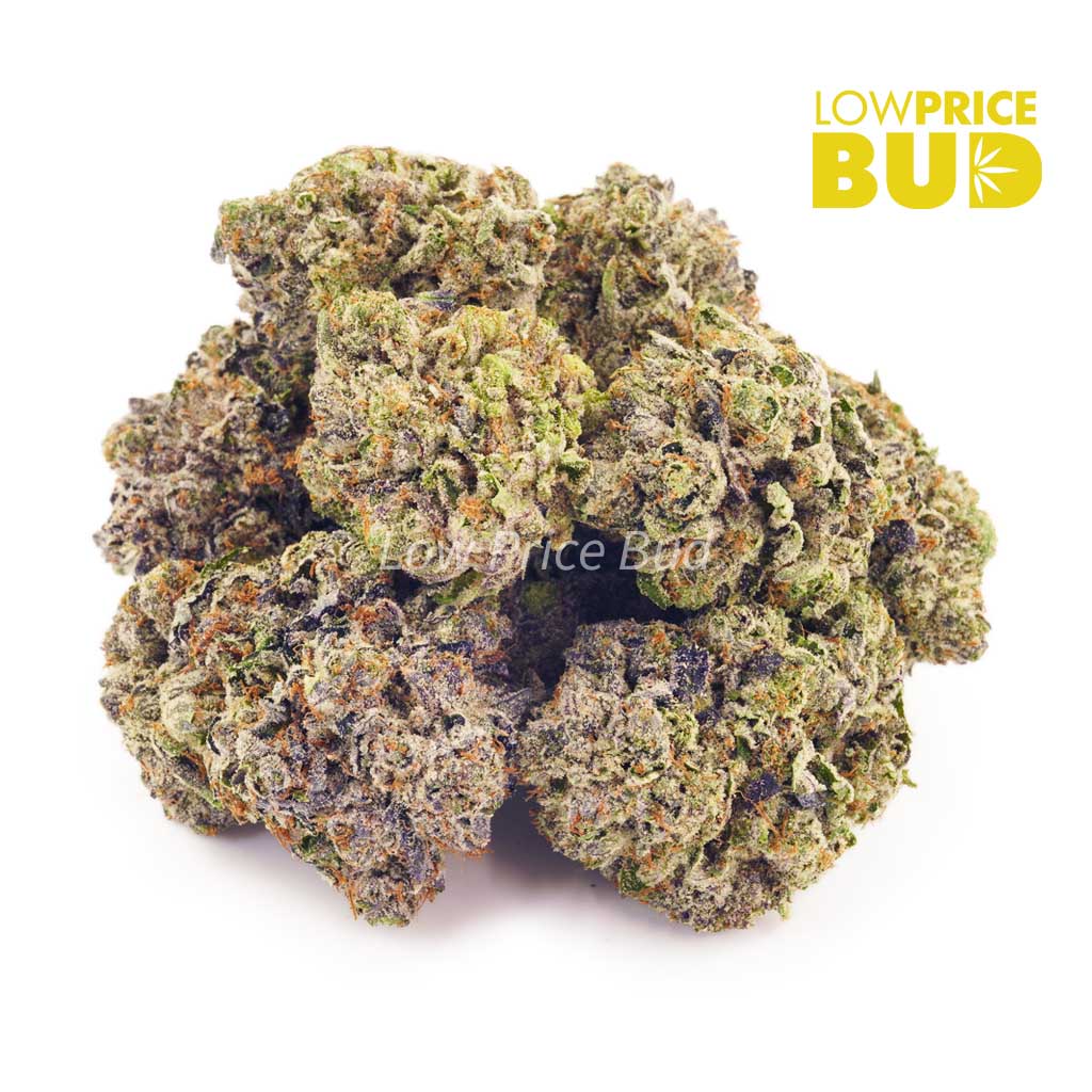 Buy Tom Ford Pink Kush (Craft Cannabis) online Canada