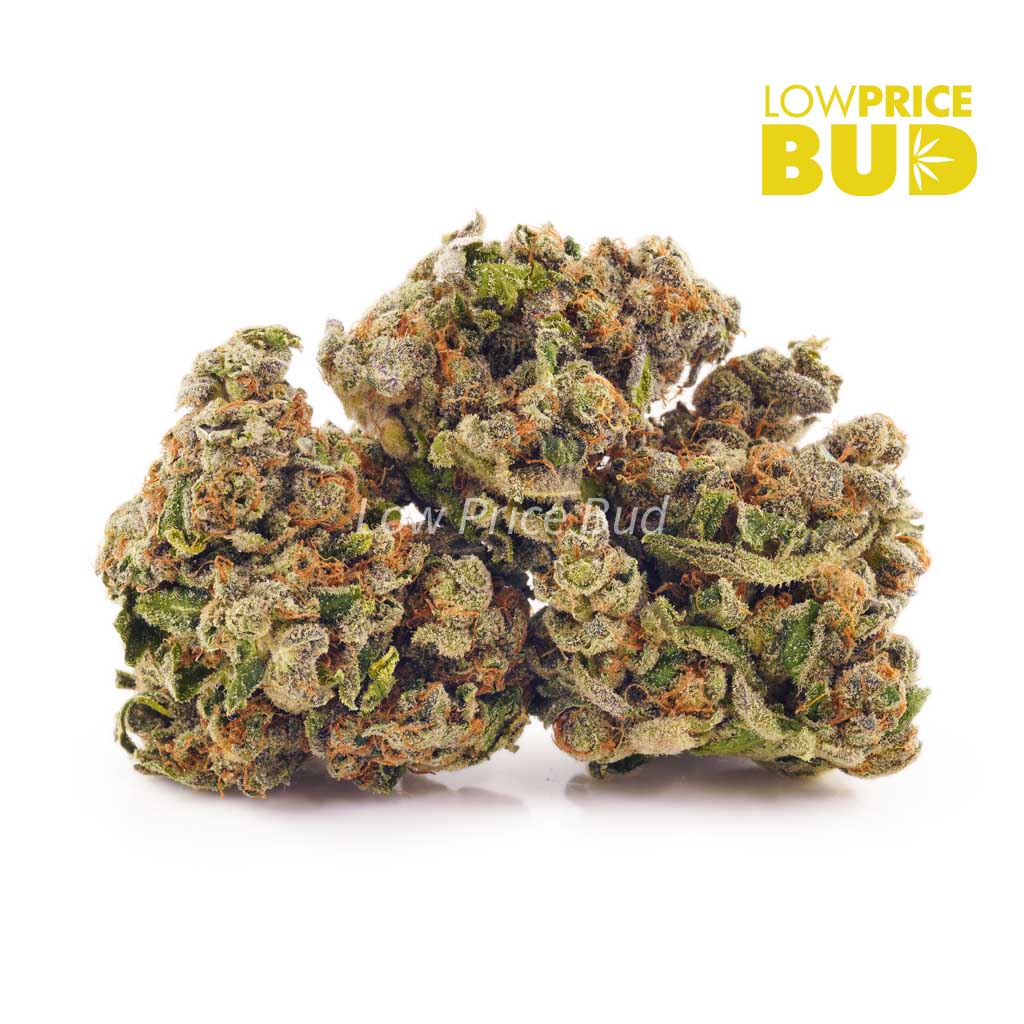 Buy Sour Kush (AA) online Canada