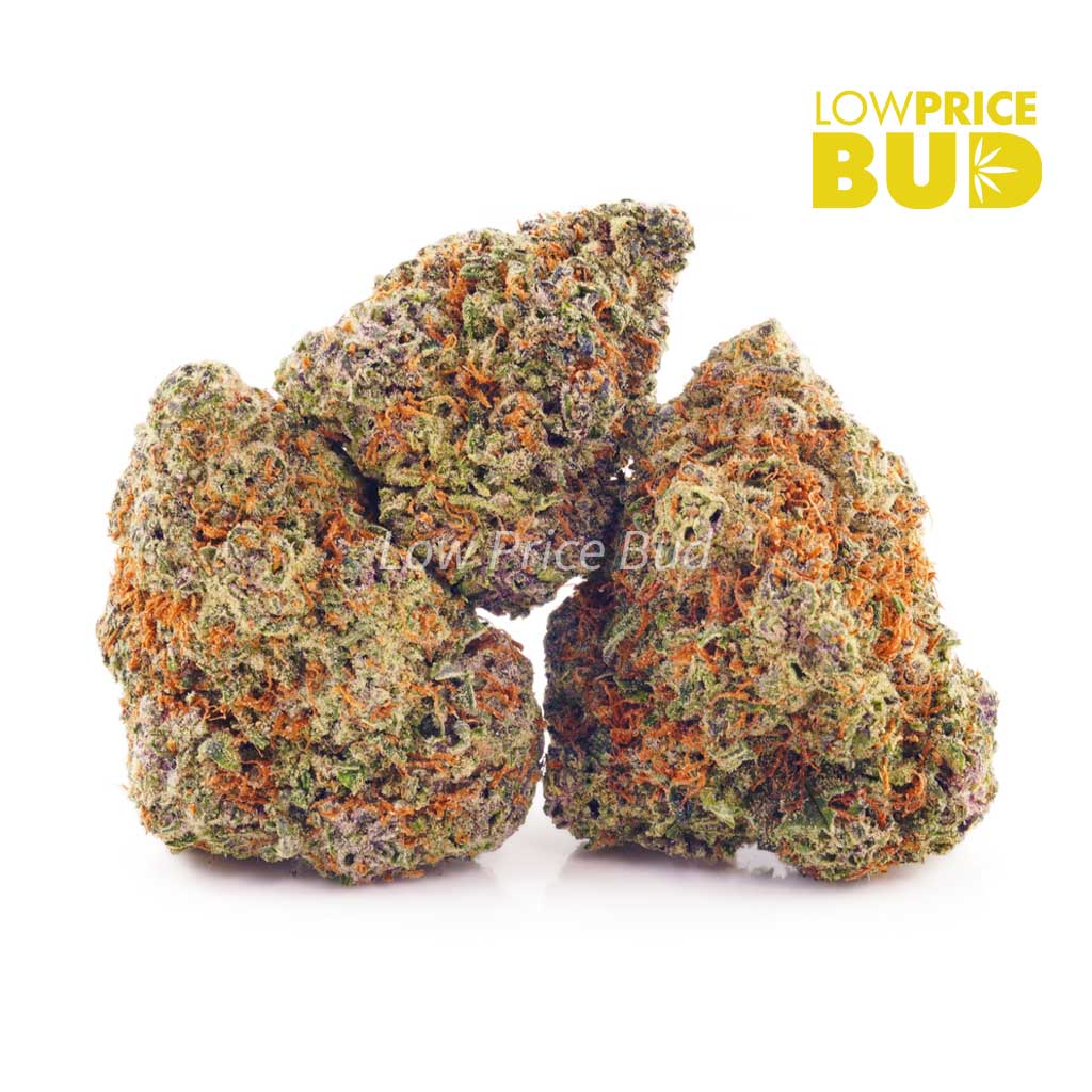 Grape Bomb (AAAA) Buy Grape Bomb (AAAA) online Canada
