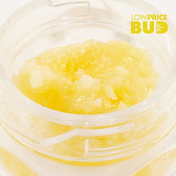 Buy Live Resin – Blueberry Muffin online Canada