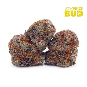 Peach Runtz (AAA) Buy Peach Runtz (AAA) online Canada