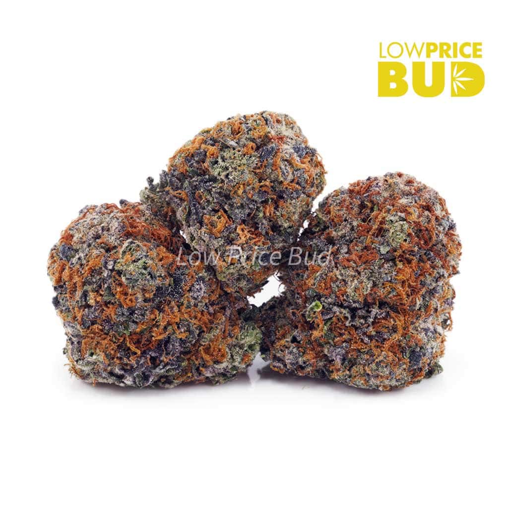 Peach Runtz (AAA) Buy Peach Runtz (AAA) online Canada