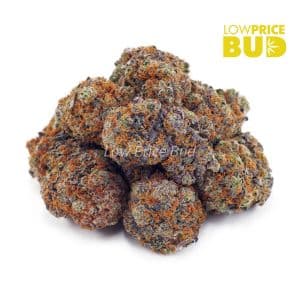 Peach Runtz (AAA) Buy Peach Runtz (AAA) online Canada
