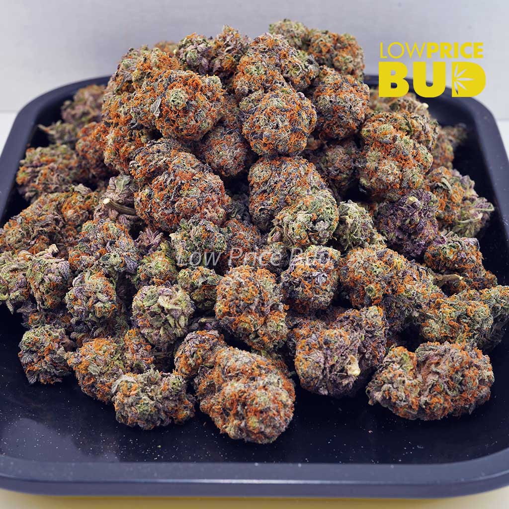 Peach Runtz (AAA) Buy Peach Runtz (AAA) online Canada