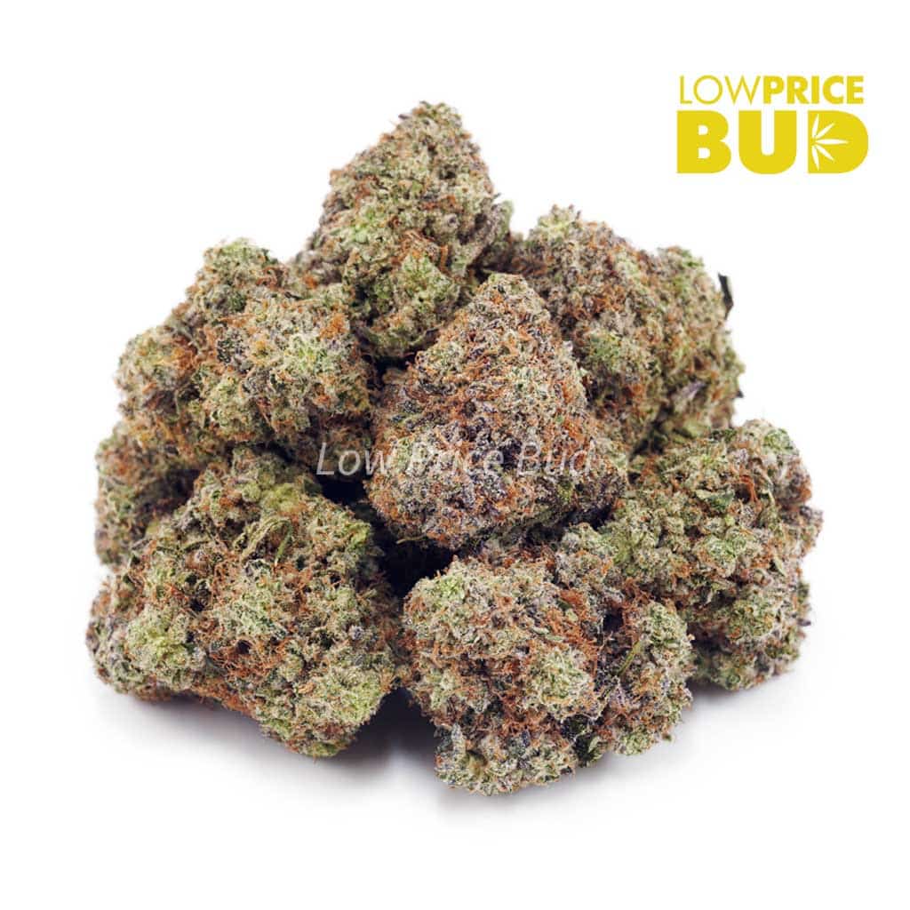 Gorilla Cookies (AAAA) Buy Gorilla Cookies (AAAA) online Canada
