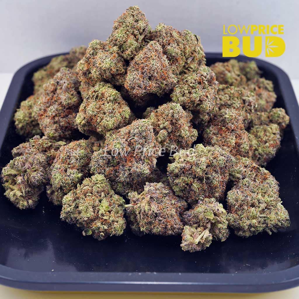 Gorilla Cookies (AAAA) Buy Gorilla Cookies (AAAA) online Canada
