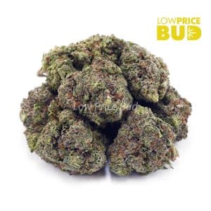 OG Kush (AAAA) Buy OG Kush (AAAA) online Canada