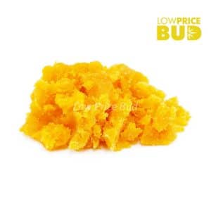 Buy Caviar – Acapulco Gold online Canada