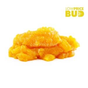 Buy Caviar – Hawaiian Snow online Canada