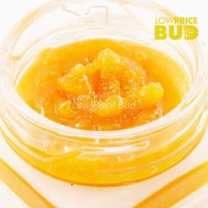Buy Caviar – Hawaiian Snow online Canada