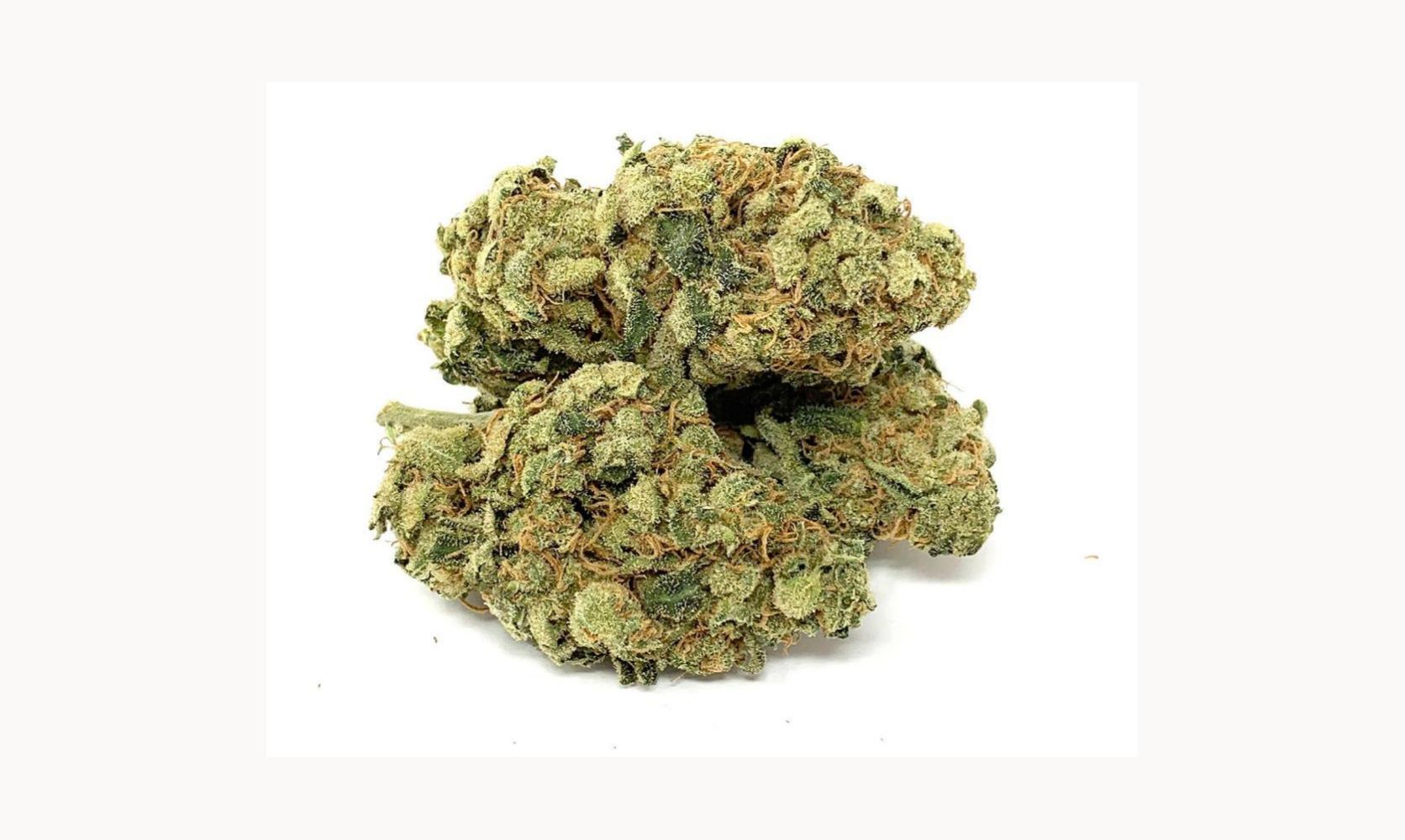 The Green Congo strain is a mild to moderate cannabis strain with around 17 to 18 percent of THC. Purchase this strain from Low Price Bud.