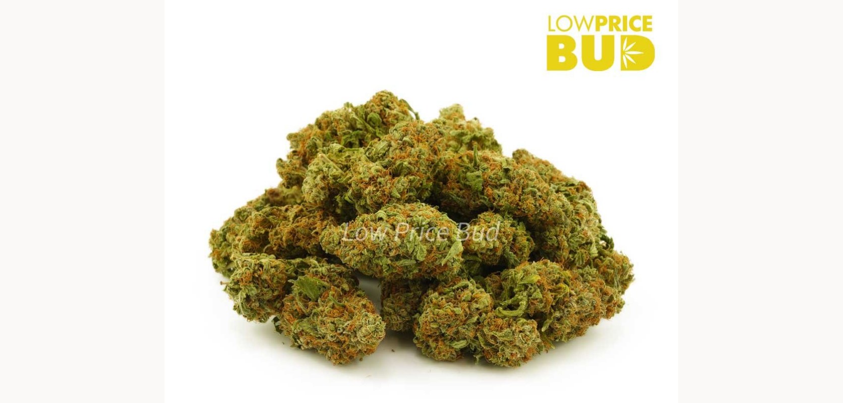 Anyone who enjoys Sativa hybrids with powerful flavours will enjoy Green Congo. 