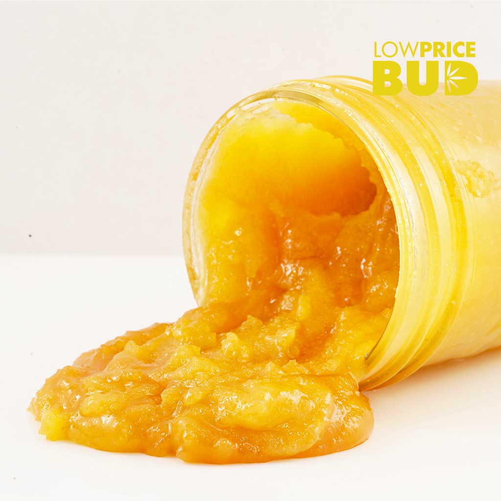 Caviar – Hawaiian Snow Buy Caviar – Hawaiian Snow online Canada