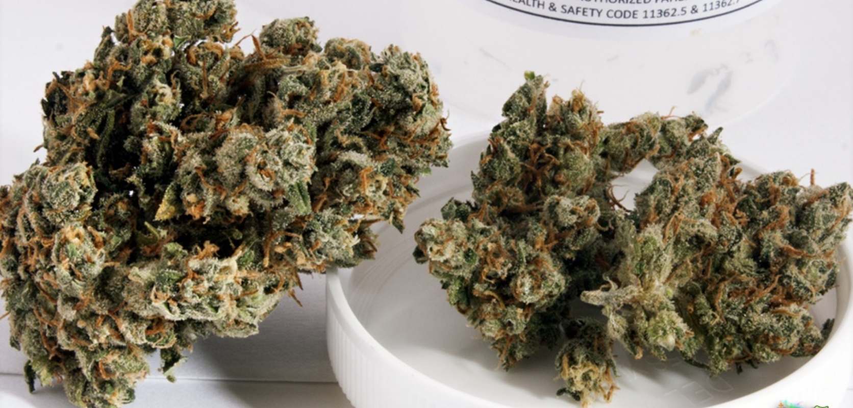 This Jack the Ripper strain review will give you deeper insight into the characteristics of the weed. 