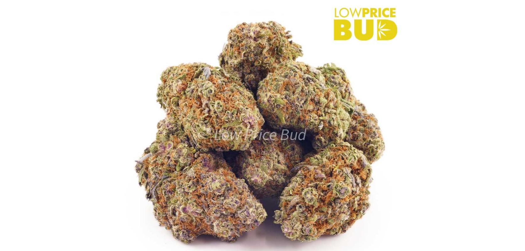 Purple Punch is an indica strain with a burst of flavour and effects that will leave you wanting more. 