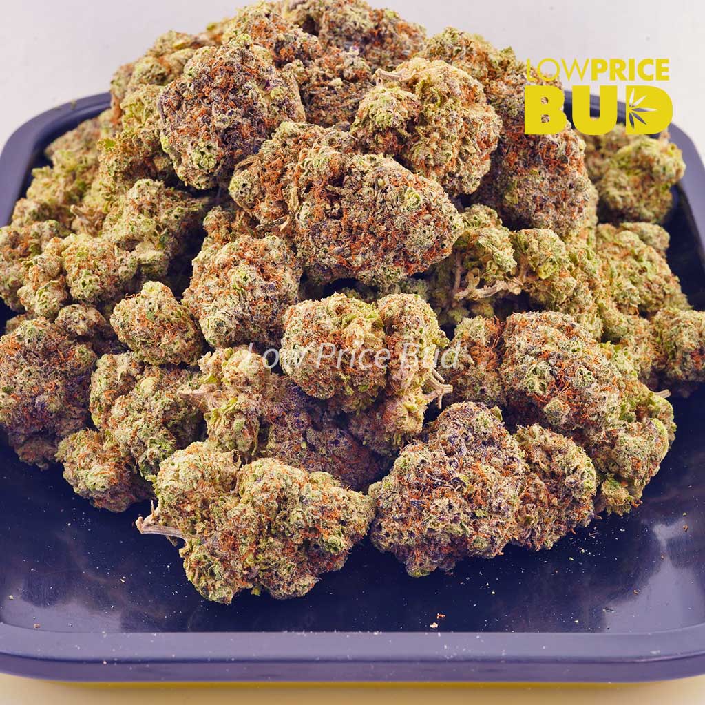 Tahoe OG (AAA) Buy Tahoe OG (AAA) online Canada