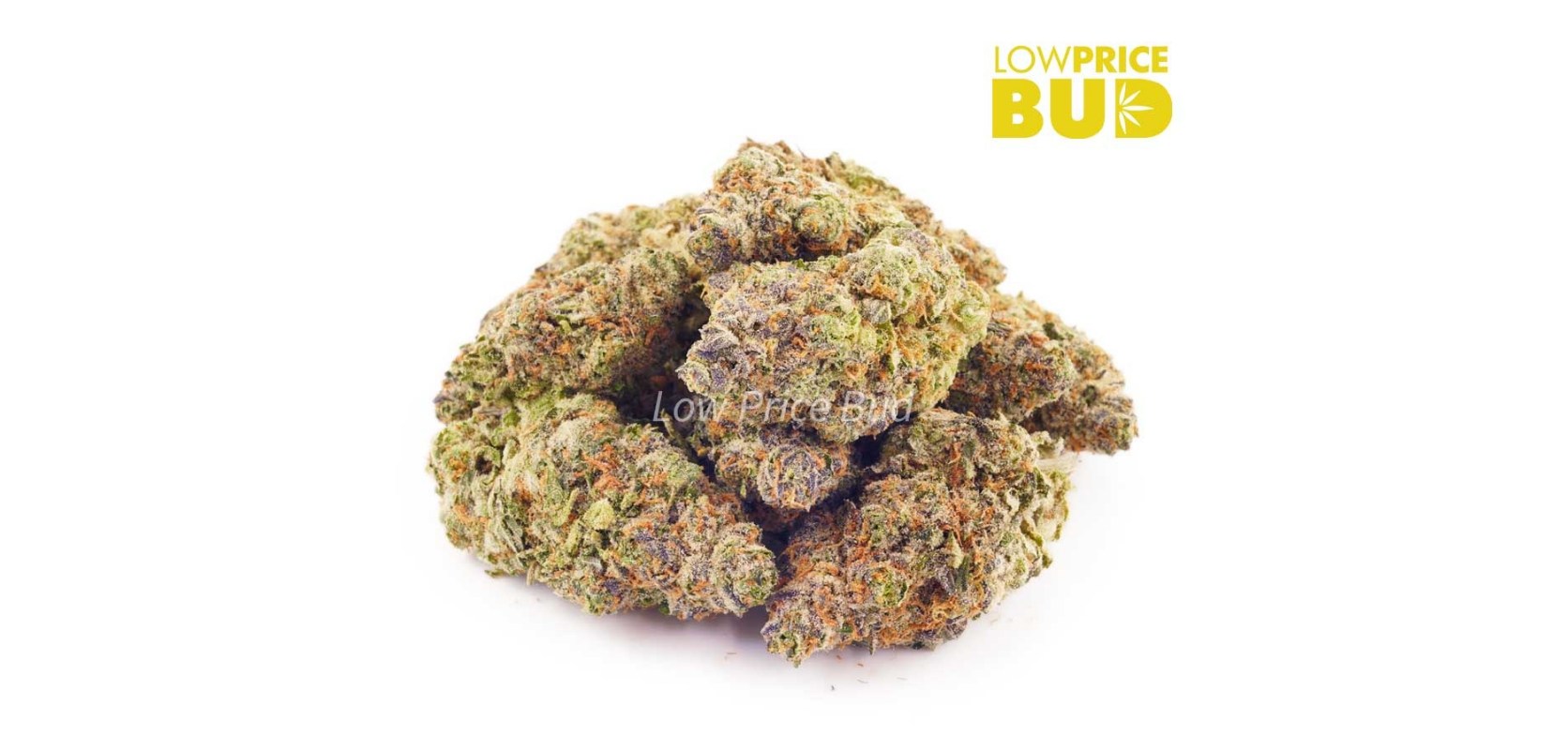 Tropicali Punch AAAA buds make for the greatest find you are likely to come across in your hunt for the best tropical strains.