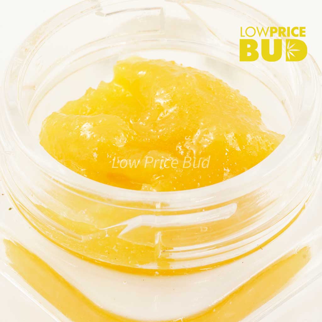 Caviar – Wild Berry Buy Caviar – Wild Berry online Canada