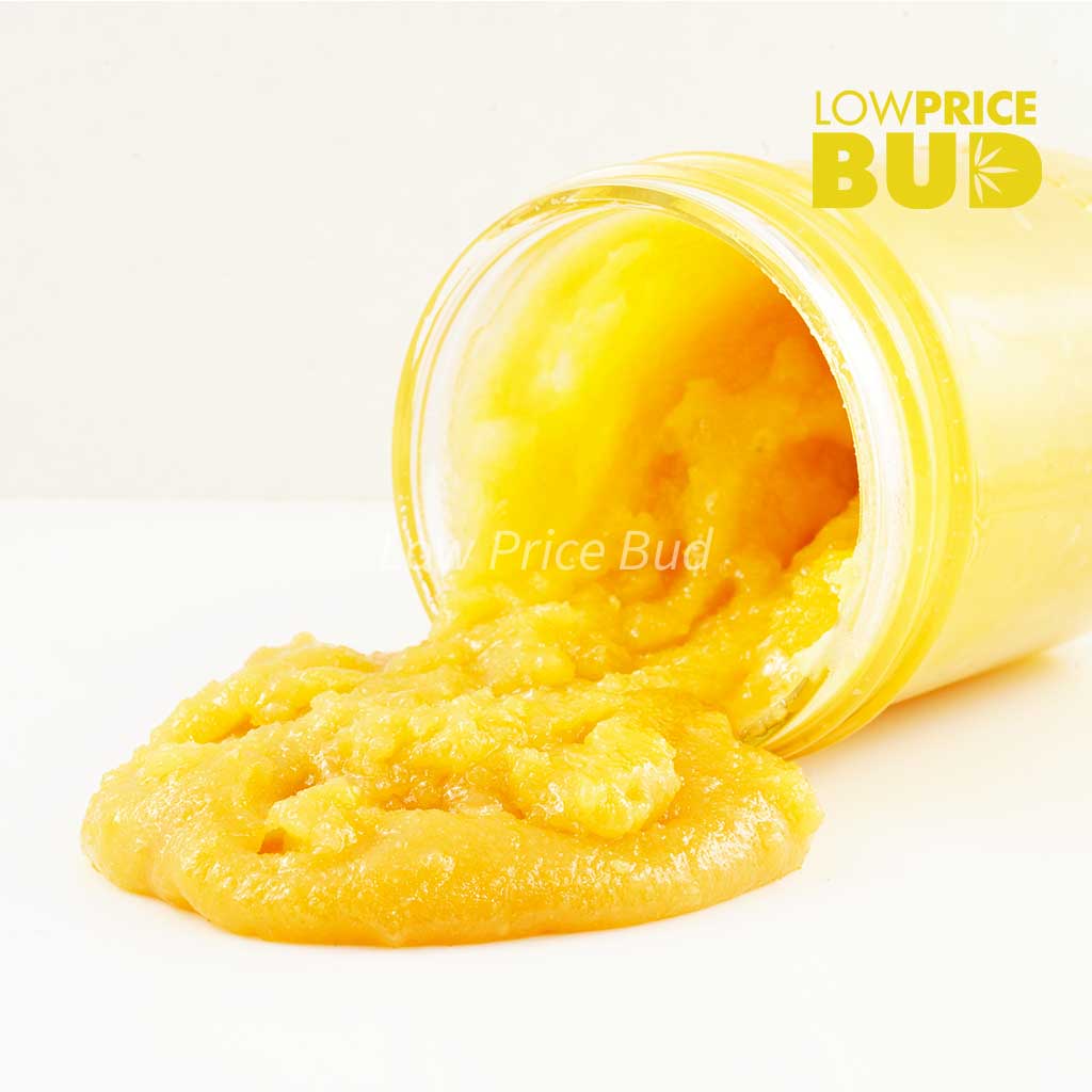 Caviar – Wild Berry Buy Caviar – Wild Berry online Canada