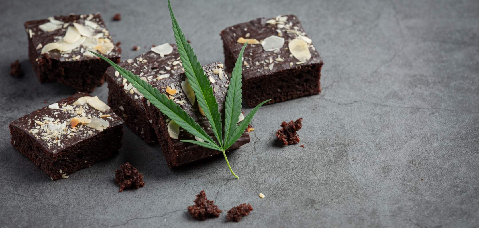 However, if you want to start baking and create something salivating, you need to learn how to make a weed chocolate cake. 