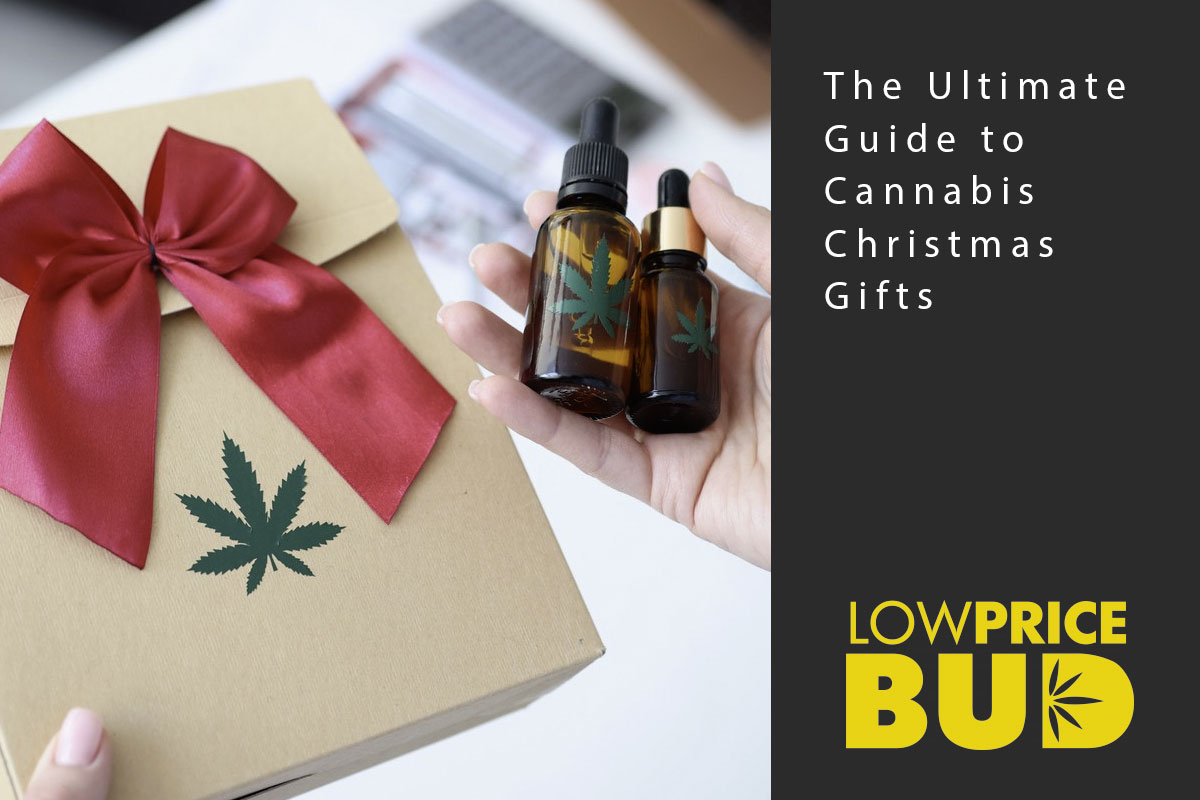 gift guide
