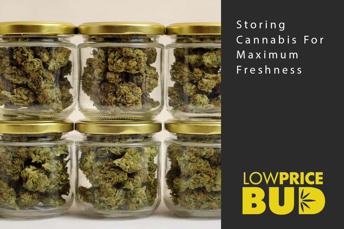 storage for freshness