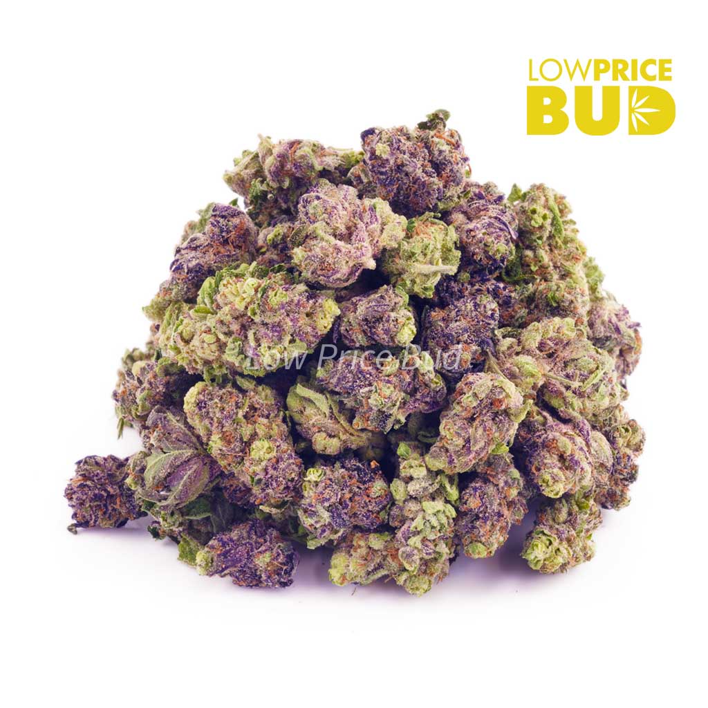 Supreme Octane (AAAA) – Popcorn Nugs Buy Supreme Octane (AAAA) – Popcorn Nugs online Canada