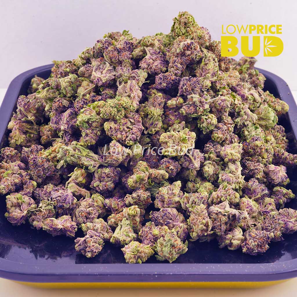 Supreme Octane (AAAA) – Popcorn Nugs Buy Supreme Octane (AAAA) – Popcorn Nugs online Canada